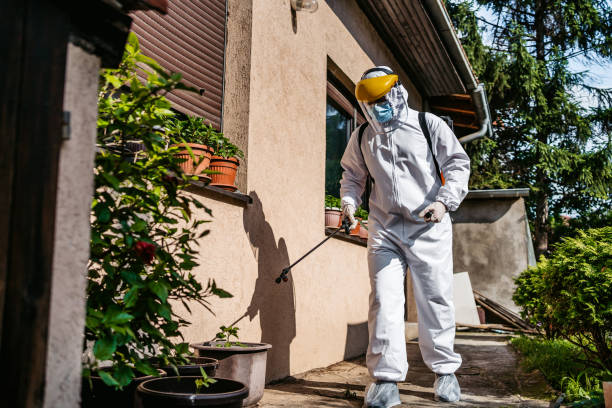 Best Local Pest Control Services  in Dayton, OH
