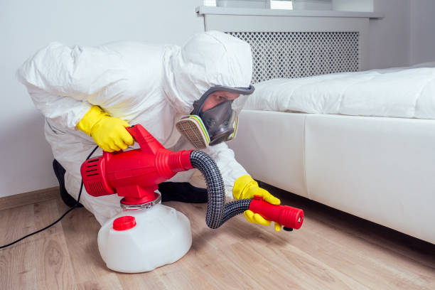 Best Wasp Removal Services  in Dayton, OH
