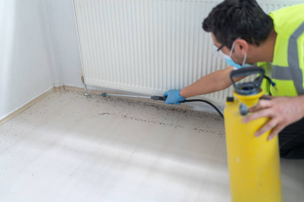 Best Cockroach Control Services  in Dayton, OH